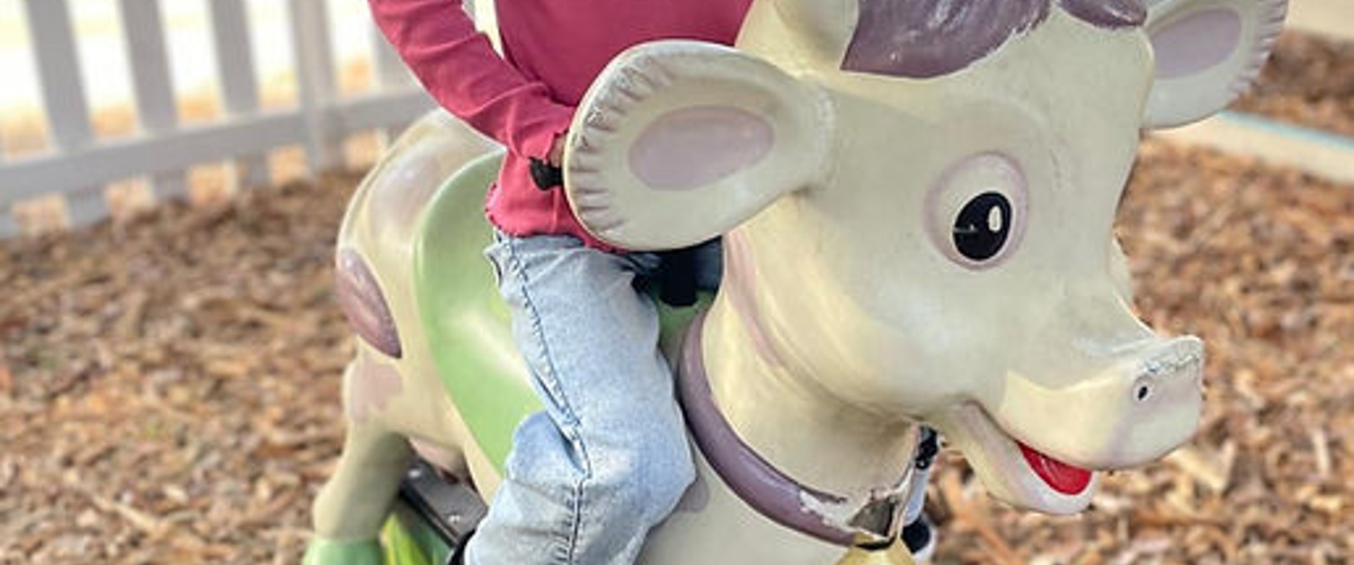 La vache