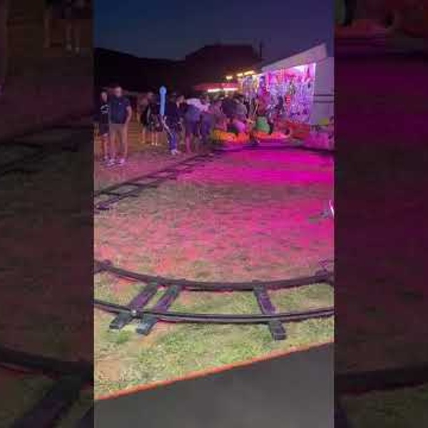 Petit Train Cochon (vid&eacute;o)