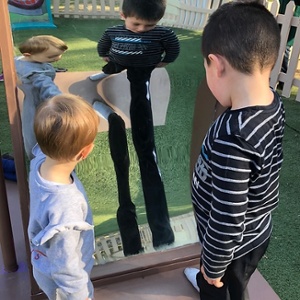 Miroir D&eacute;formant