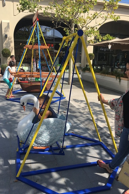 Balan&ccedil;oire cygne