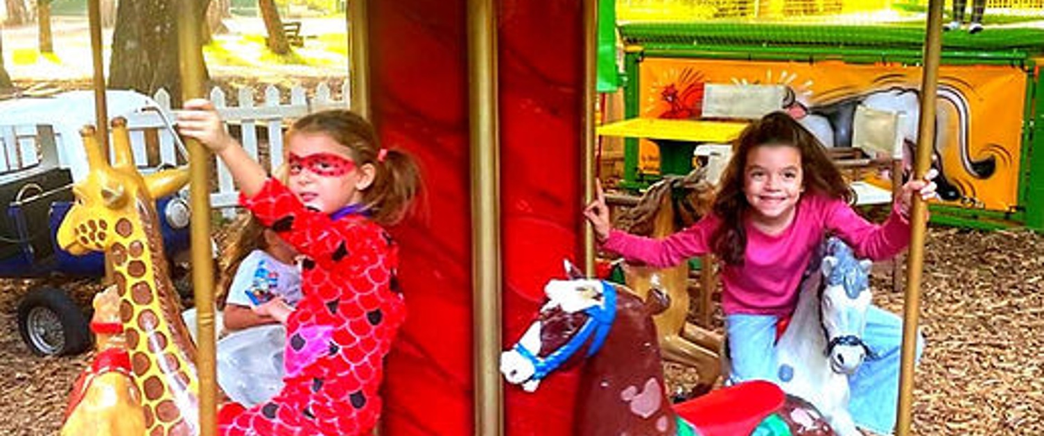 Carrousel Animaux