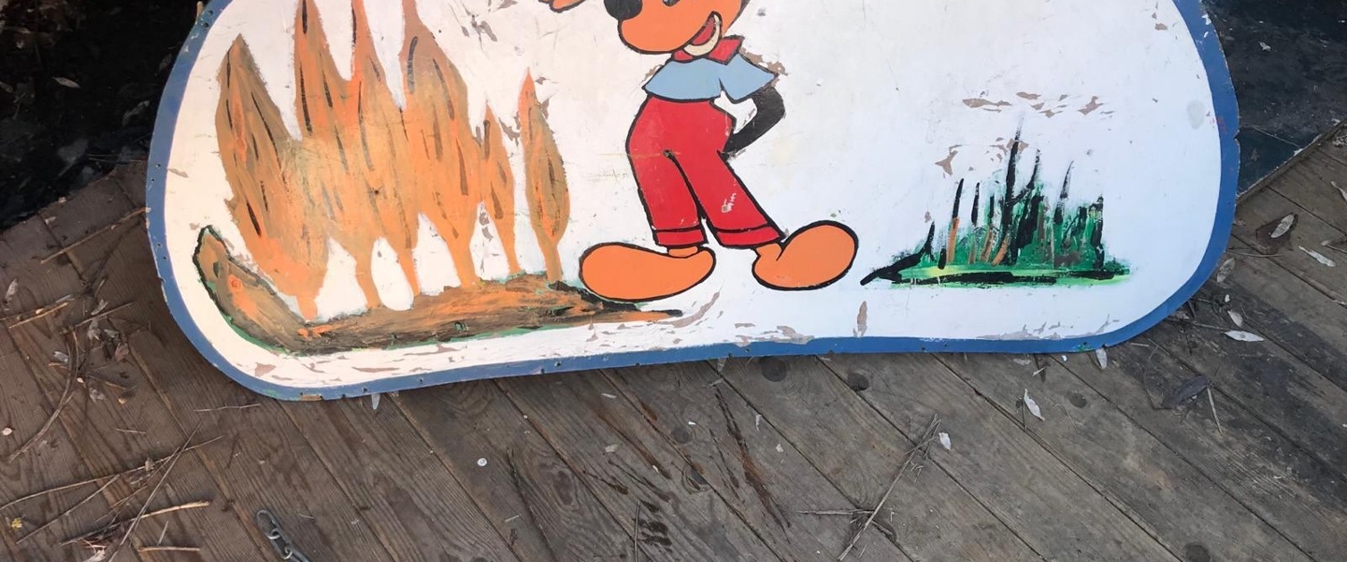 16 panneaux personnage disney
