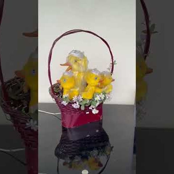 Panier de Canards (vid&eacute;o)