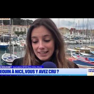 Requin Vid 2